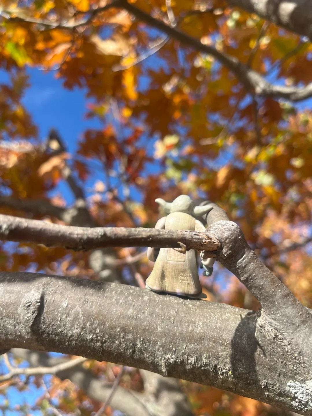 Mountain Yoda image indicator(2)