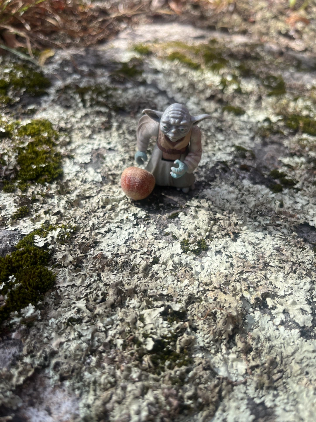 Mountain Yoda