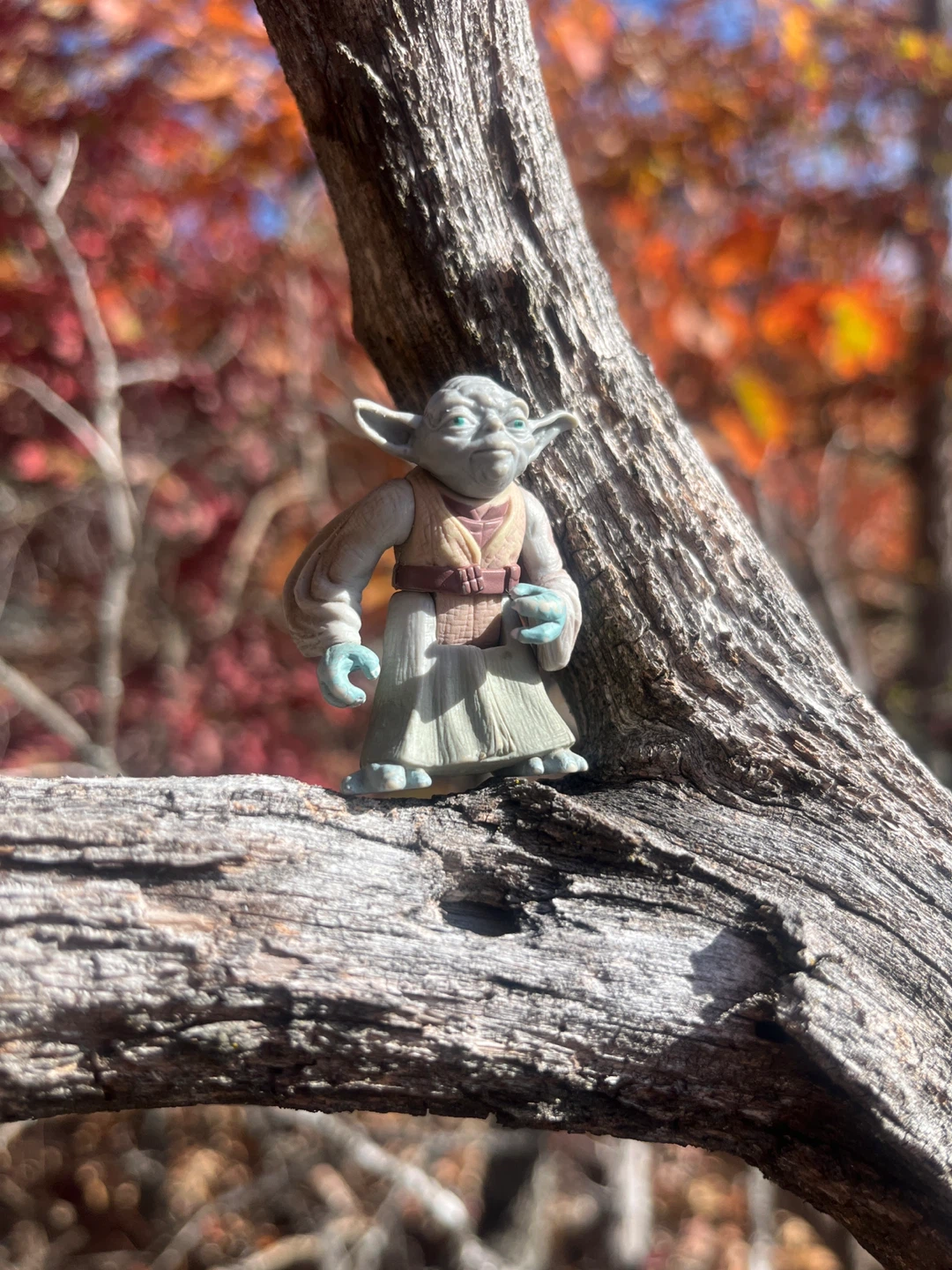 Mountain Yoda - photo 3