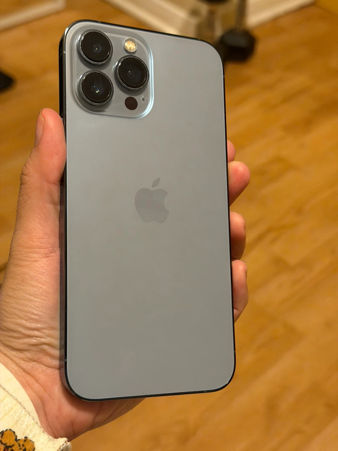 iPhone 13 Pro Max - Excellent Condition!