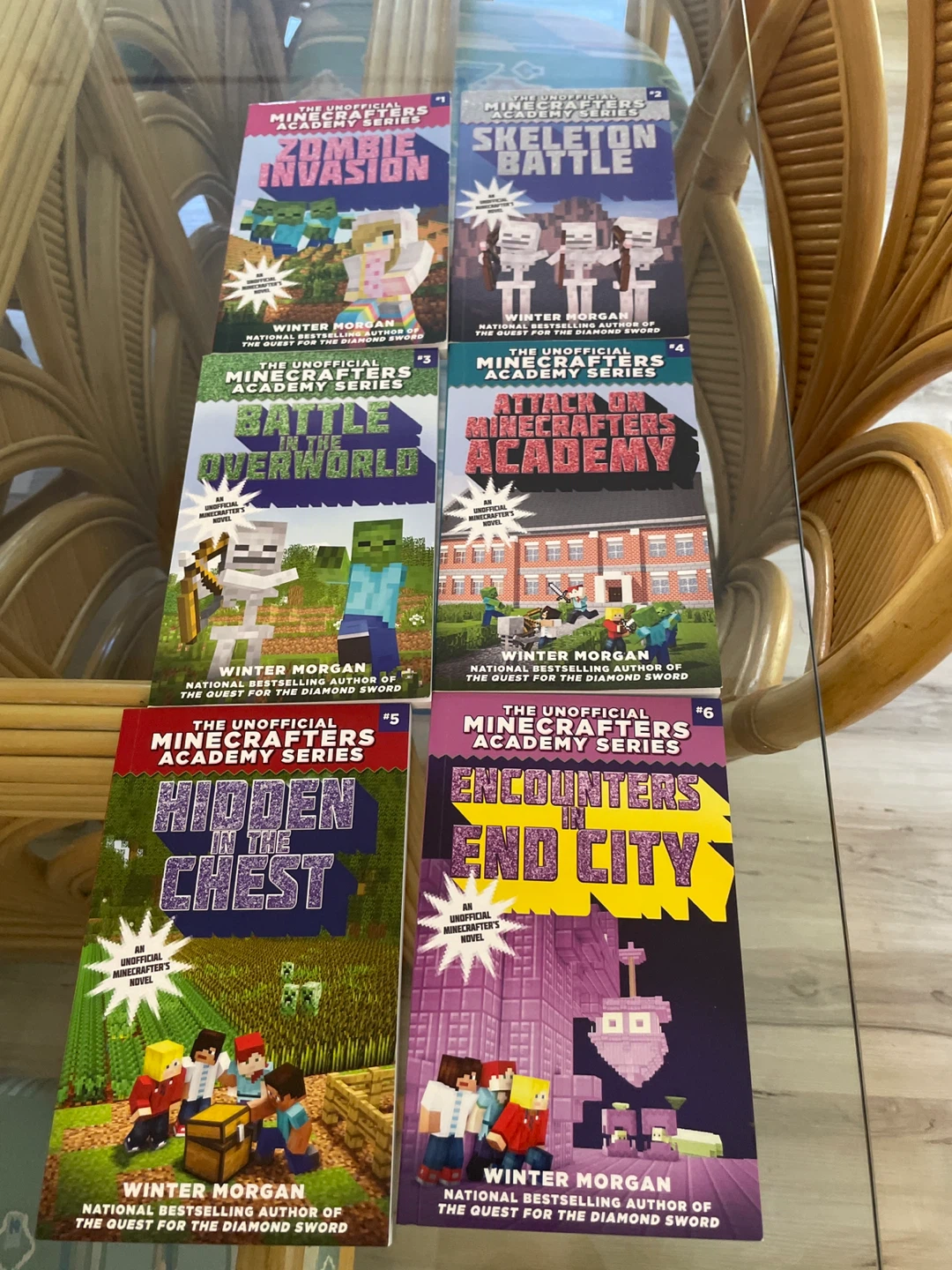 The Minecrafters Academy Box Set by Winter Morgan - photo 4