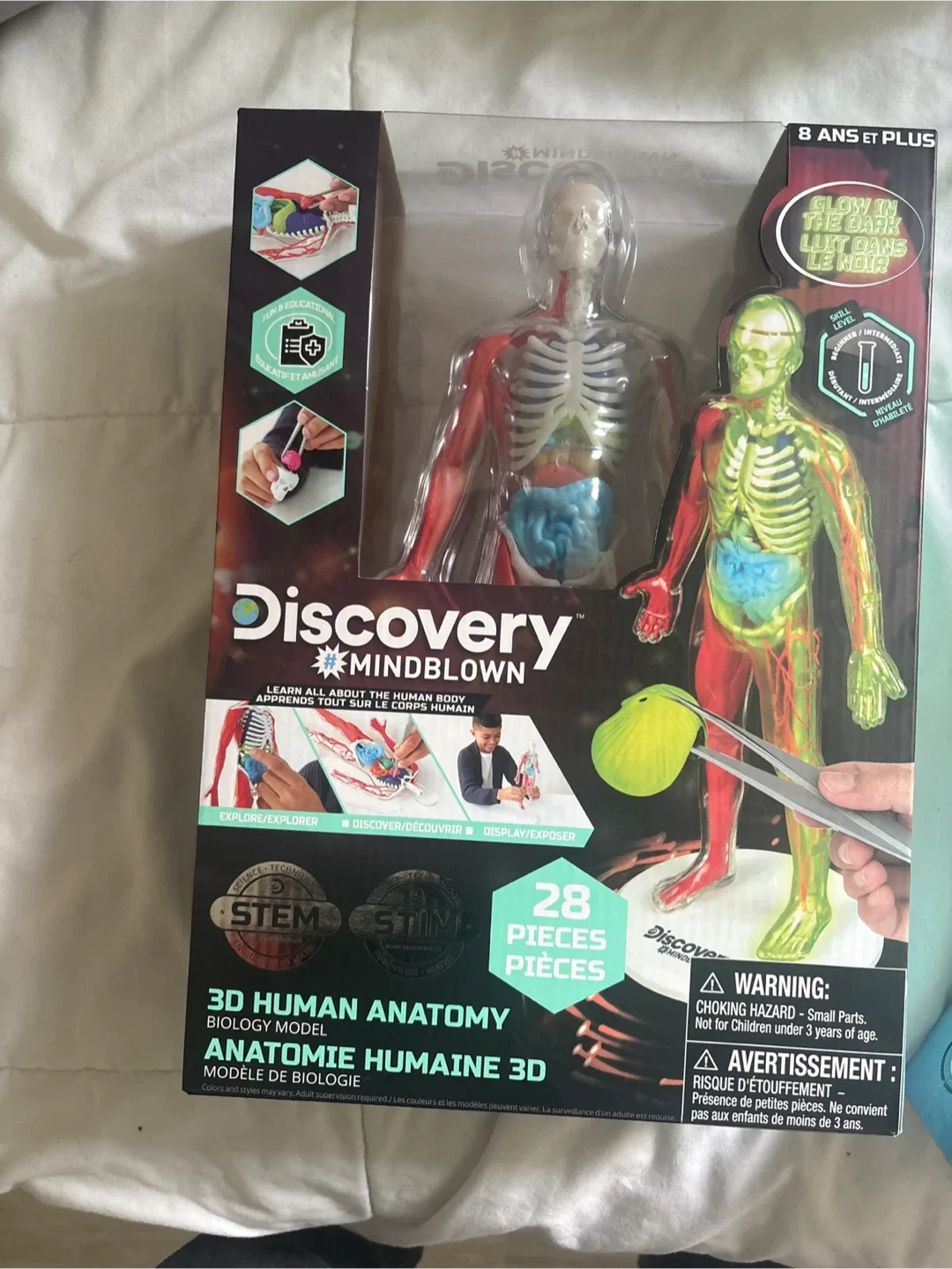 Discovery Mindblown 3D Human Anatomy Model - New in Box thumbnail
