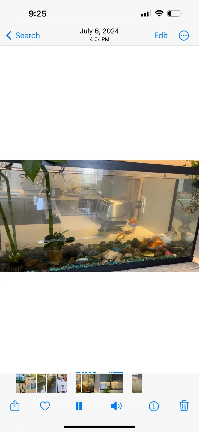 Fish Tank with Accessories image indicator(5)