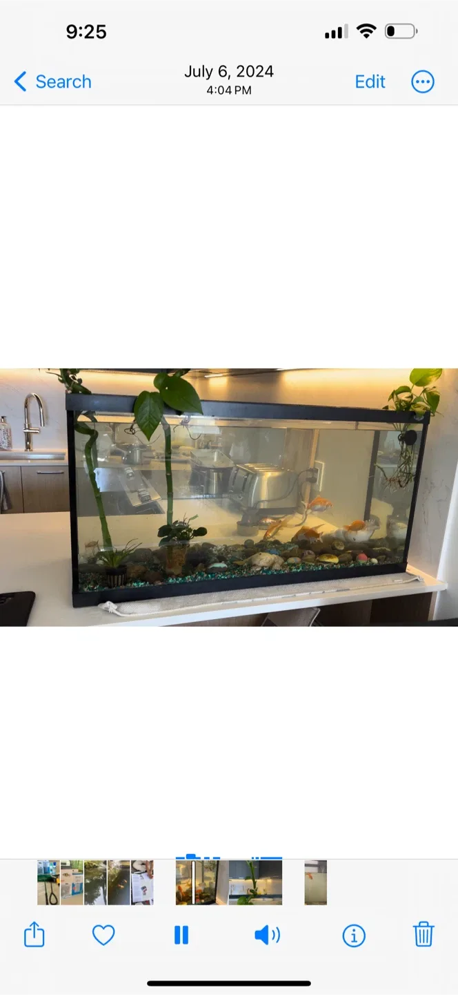 Fish Tank with Accessories image indicator(4)