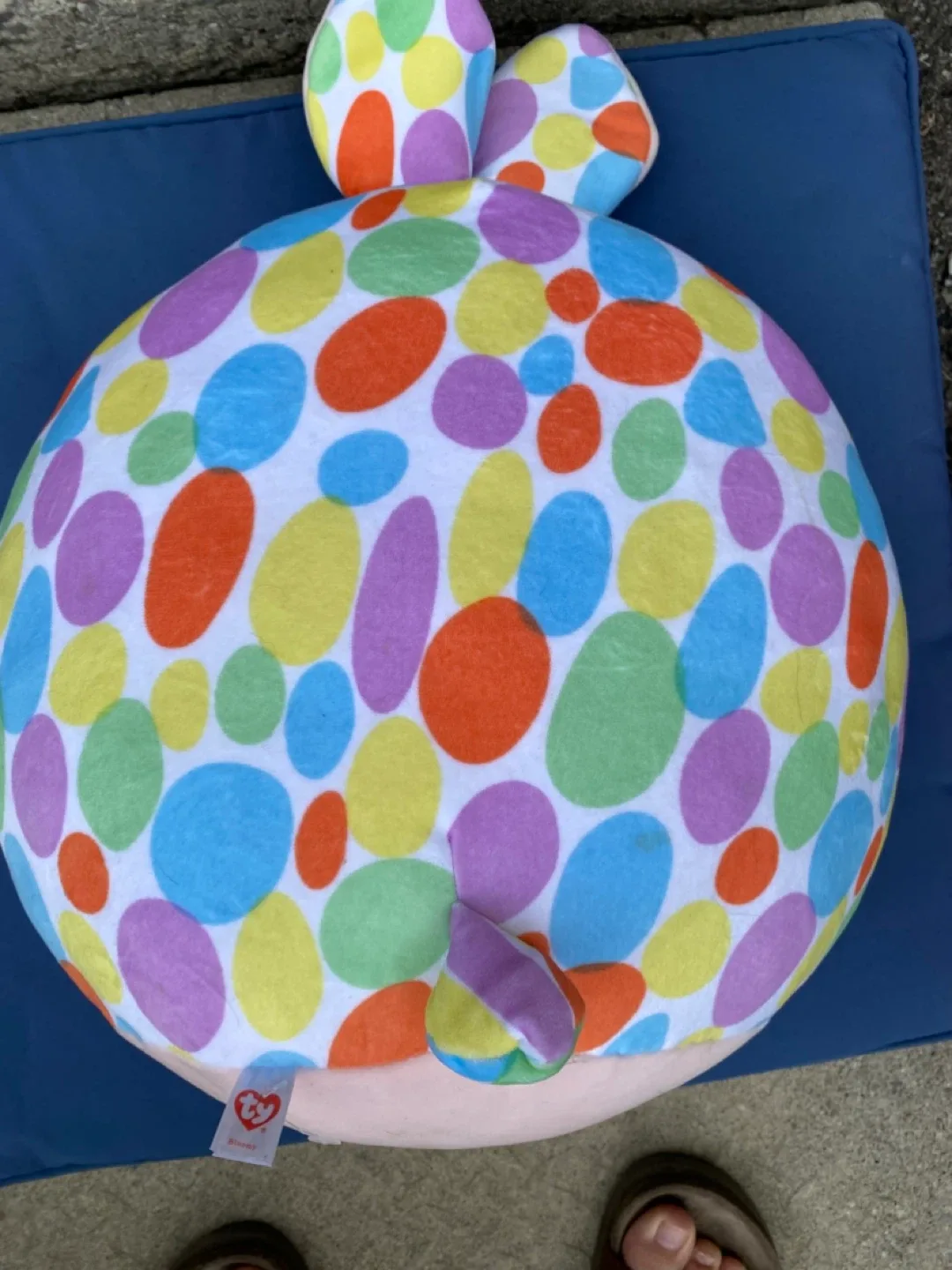 Ty Bunny image indicator(2)