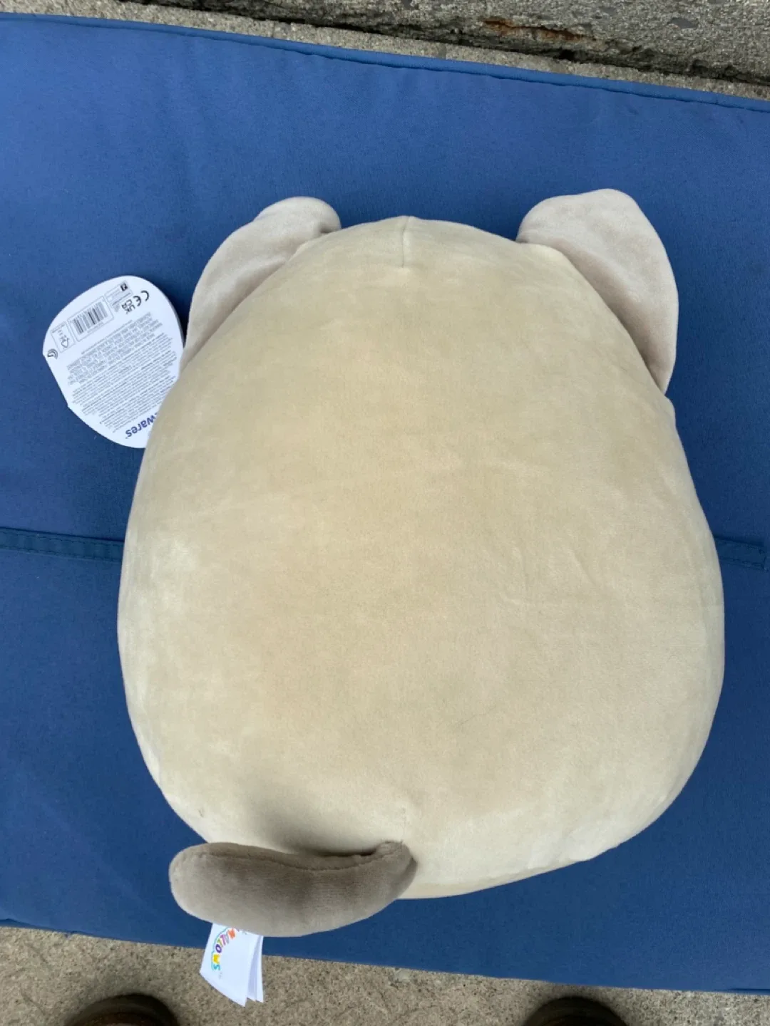 Squishmallows Warees Siamese Cat Plush Toy image indicator(2)