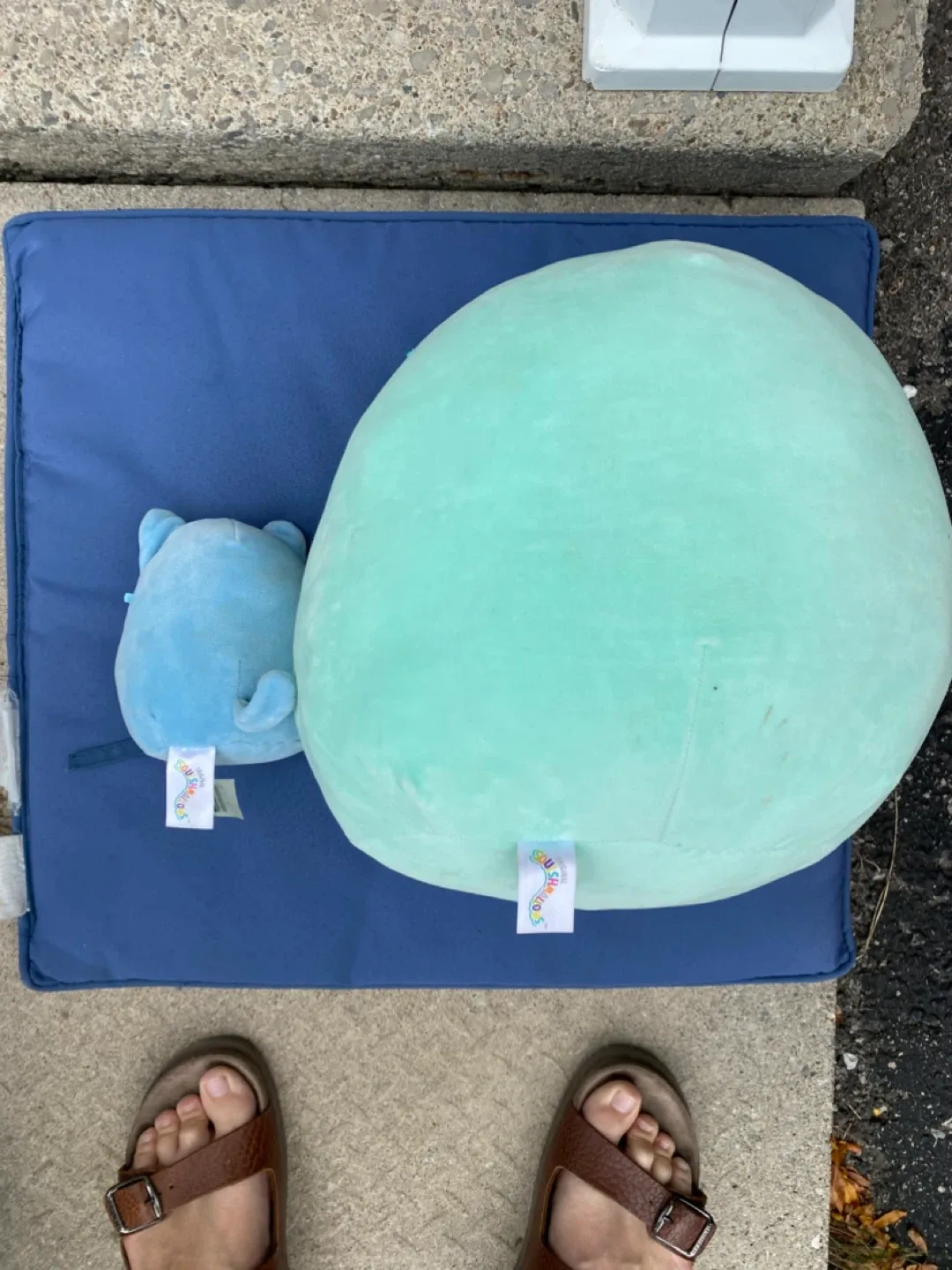 Squishmallow Plush Toys - Sloth & Cat image indicator(2)