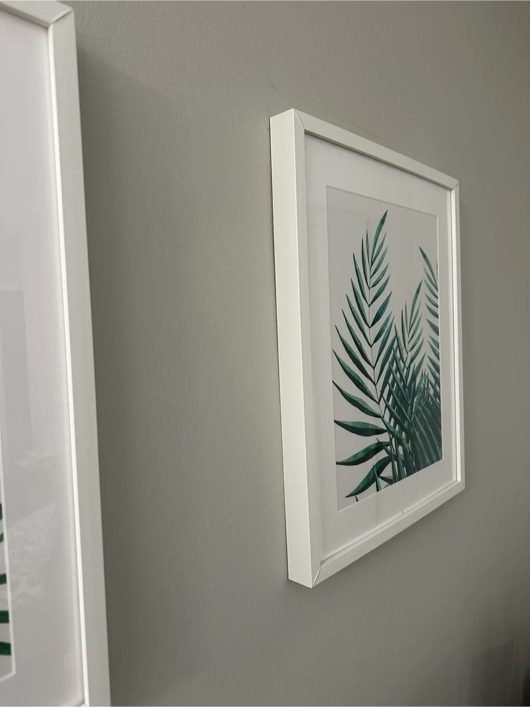 IKEA RIBBA White Wall Frames Set (Art Included) image indicator(5)