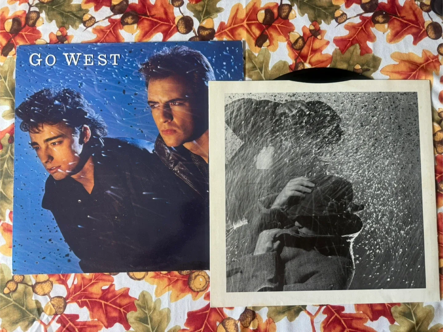 Go West Vinyl Record image indicator(2)