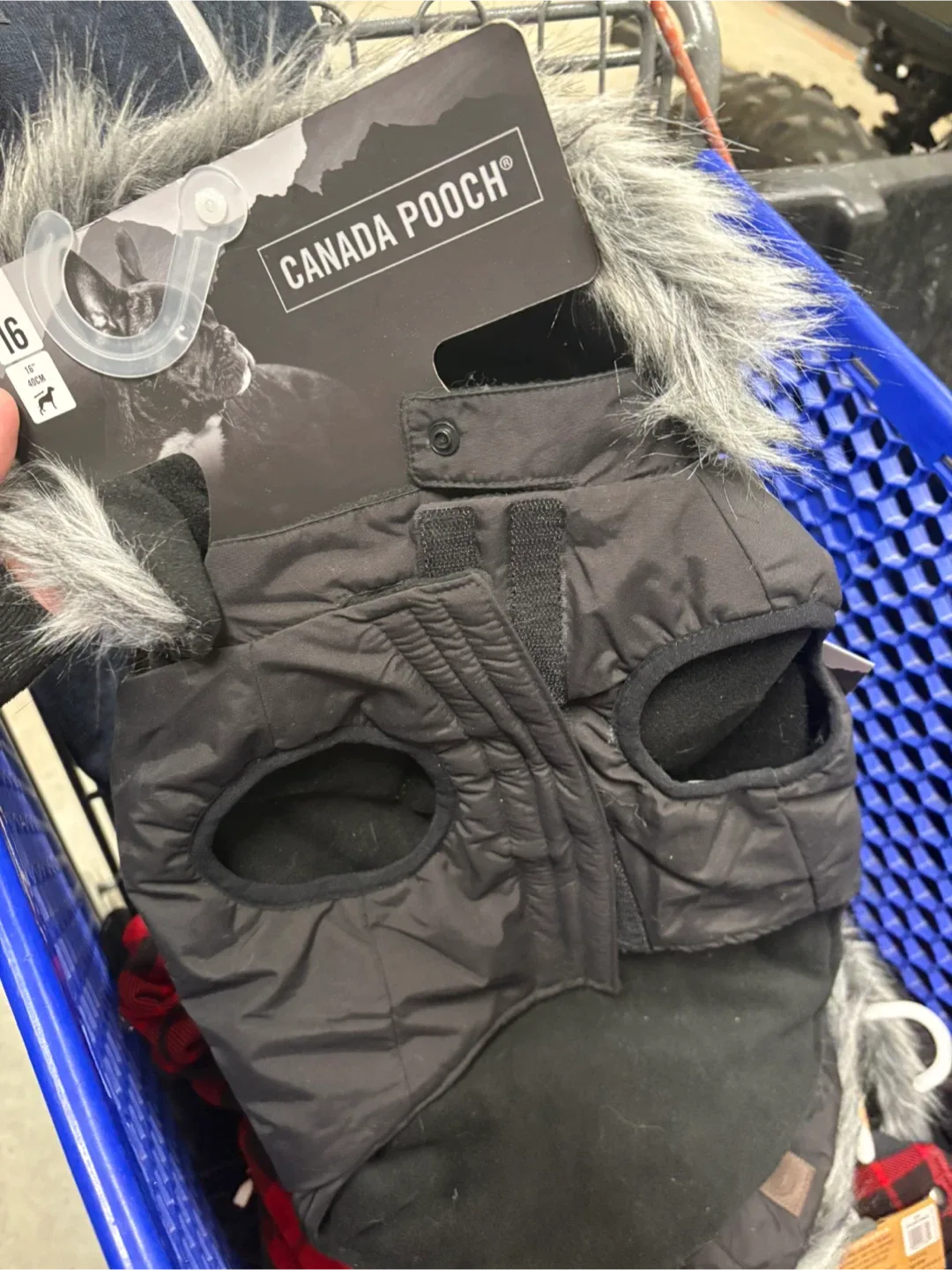 Canada Pooch Everest Explorer Dog Coat - Size 24 image indicator(4)