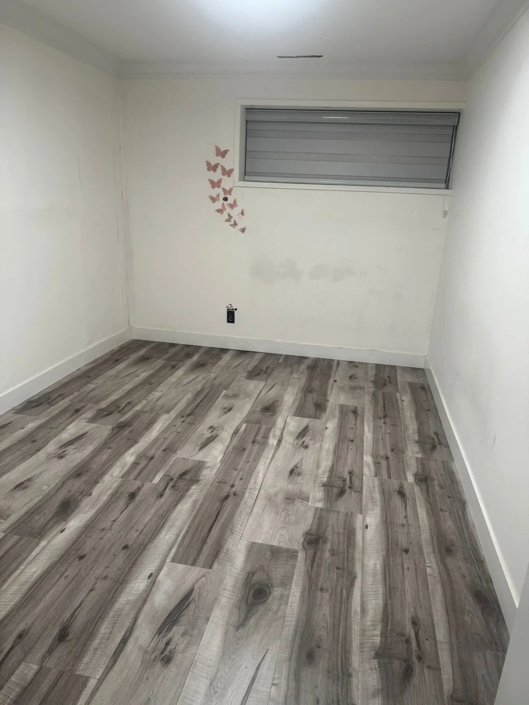 Basement for rent image indicator(3)