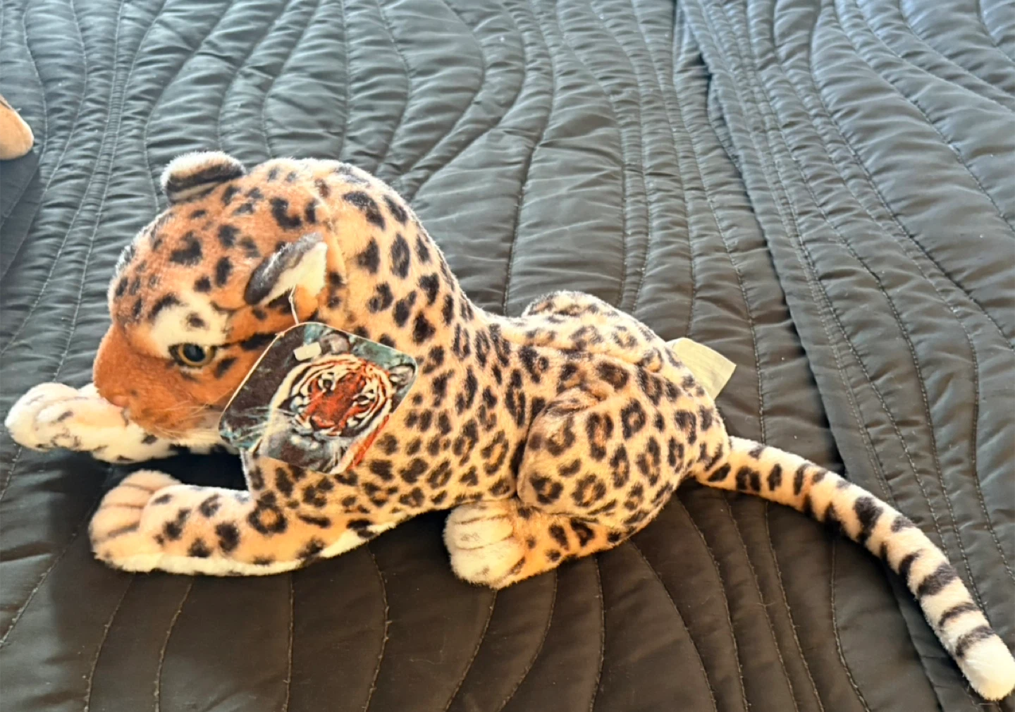 Plush Dog and Leopard Stuffed Animals - photo 5