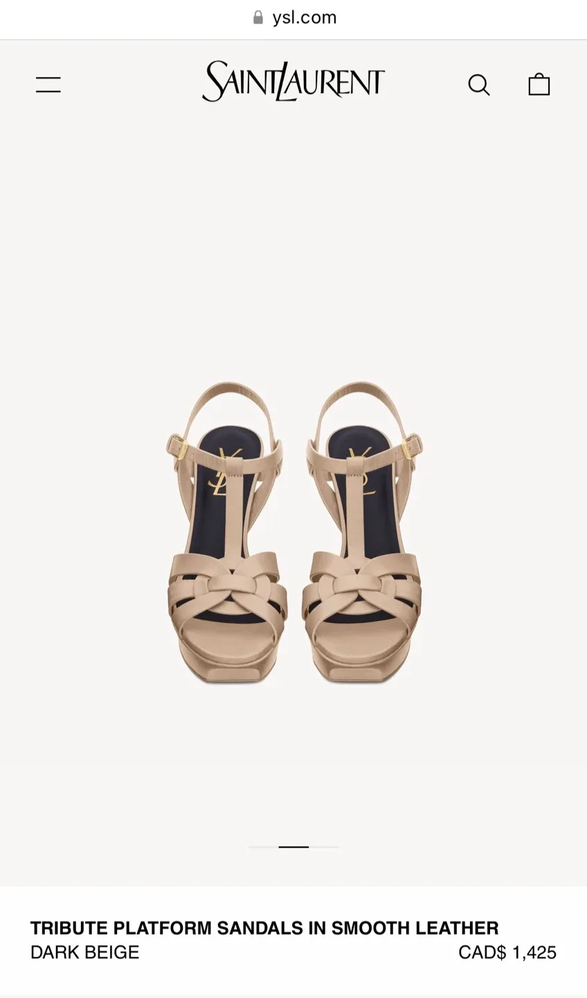 YSL platform sandals image indicator(7)