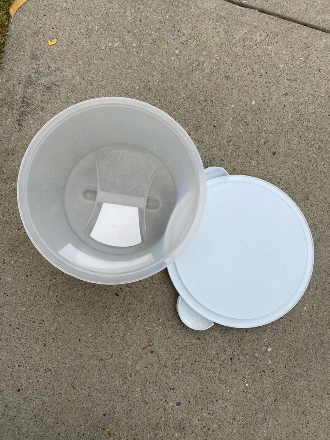 Wilton Ultimate Cake Caddy - home cooking & kitchen image indicator(3)