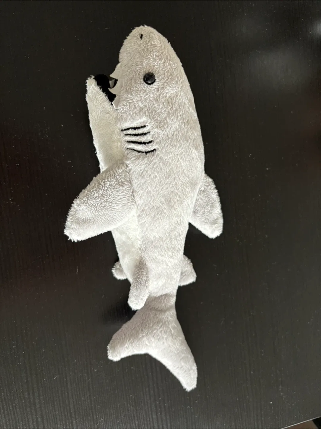 Assorted Plush Toys - Bear, Unicorn, Cat, Shark, Dog image indicator(2)