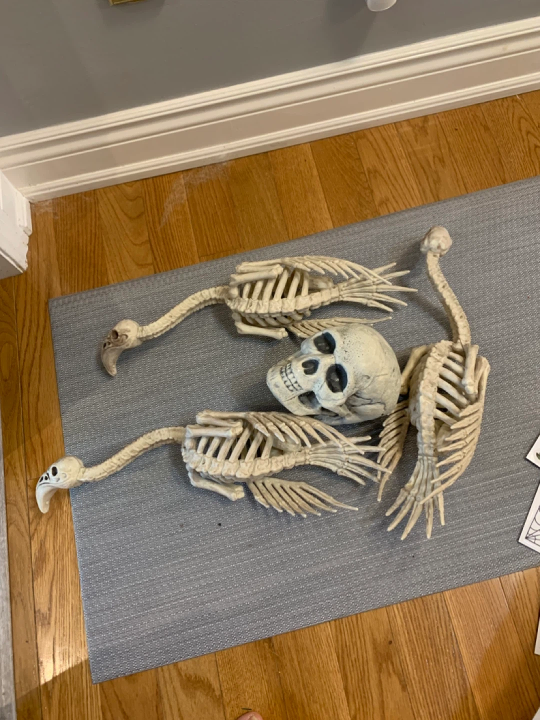 Halloween Skeleton Decorations