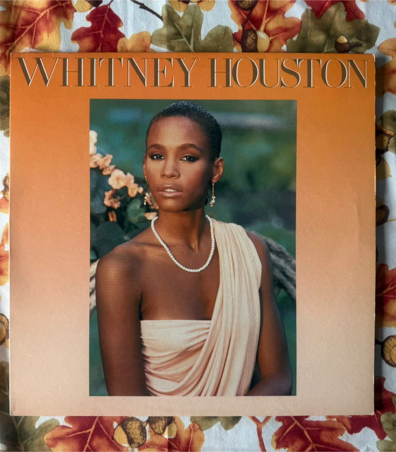 Whitney Houston Vinyl Records image indicator(3)