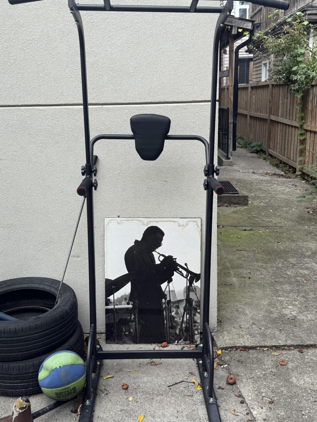 Pull up and dip station