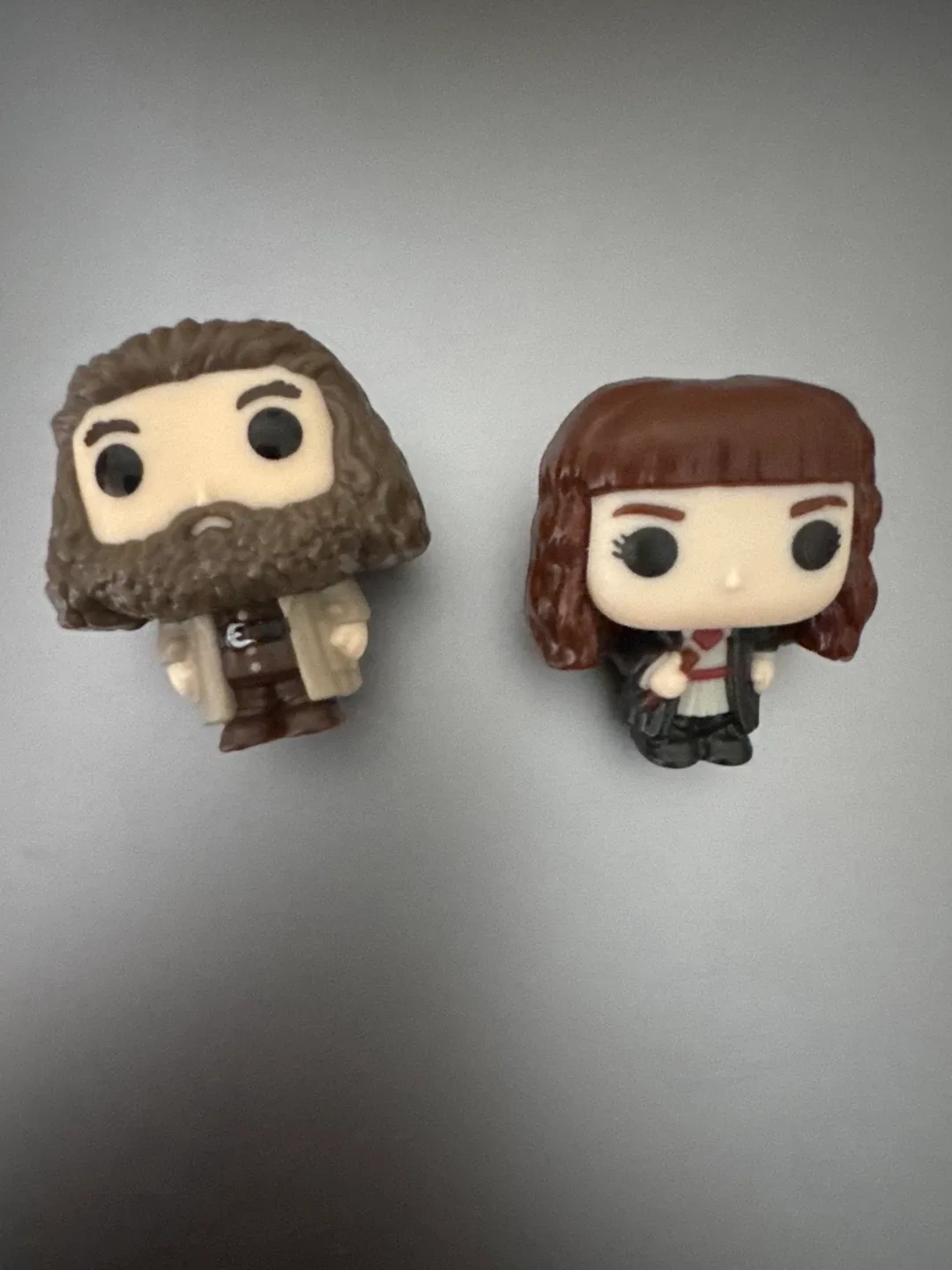 Harry Potter Hagrid & Hermione thumbnail