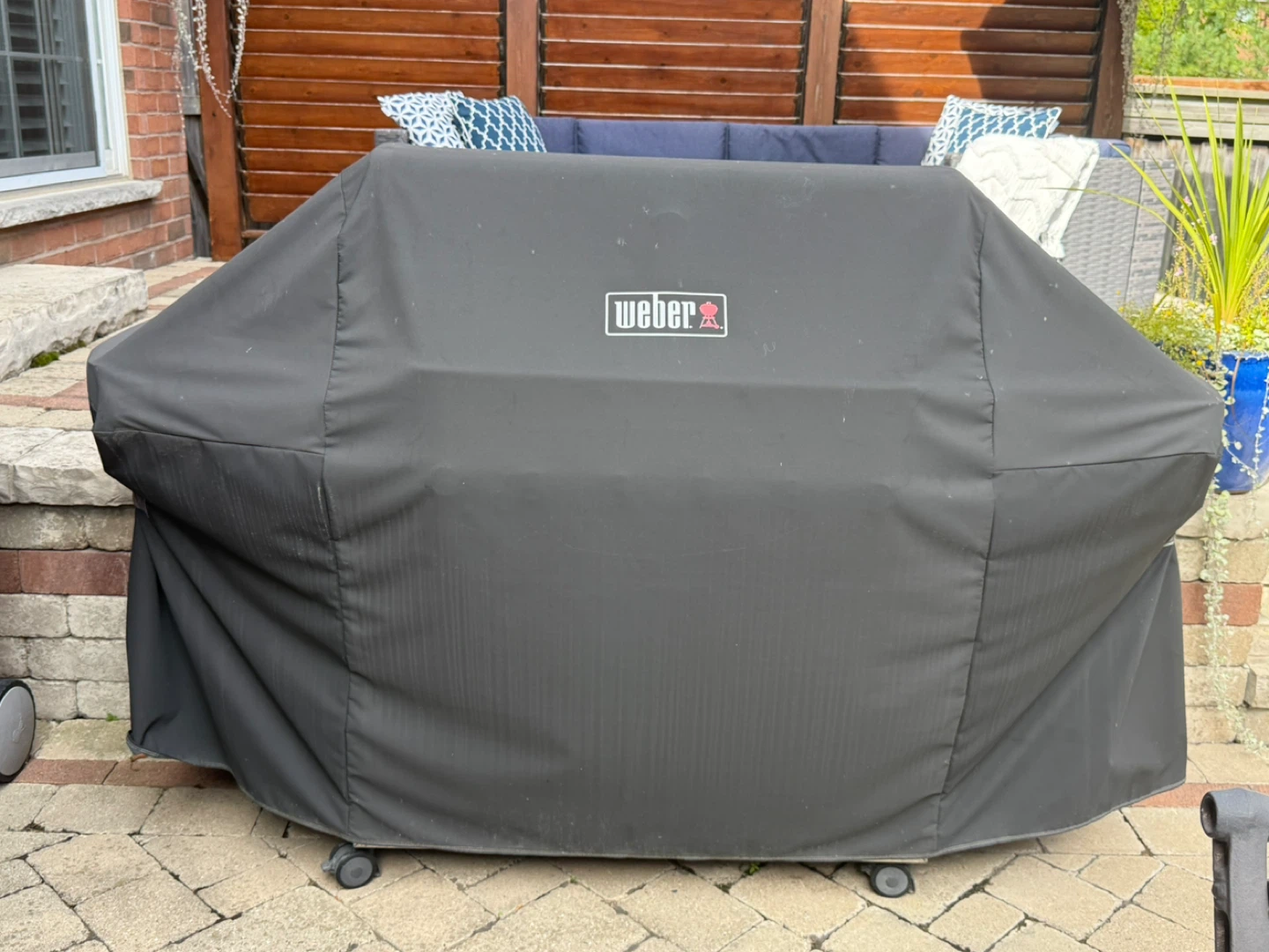 Weber Summit Gas Grill