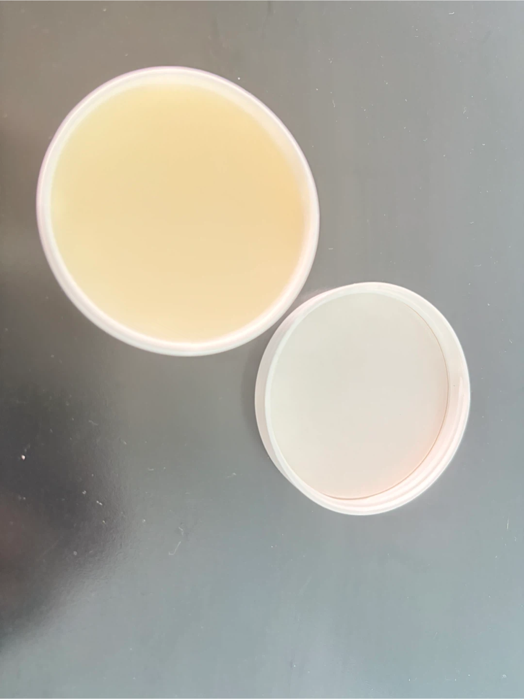 Musher's Secret Paw Protection Wax (60g) - photo 2