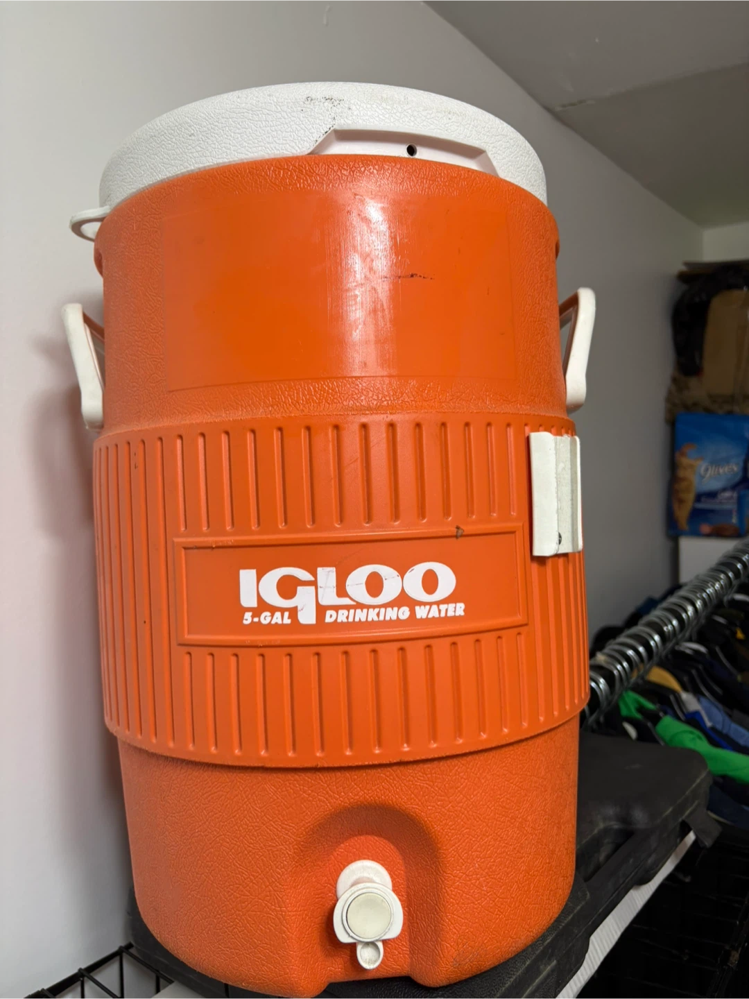 Igloo  Cooler