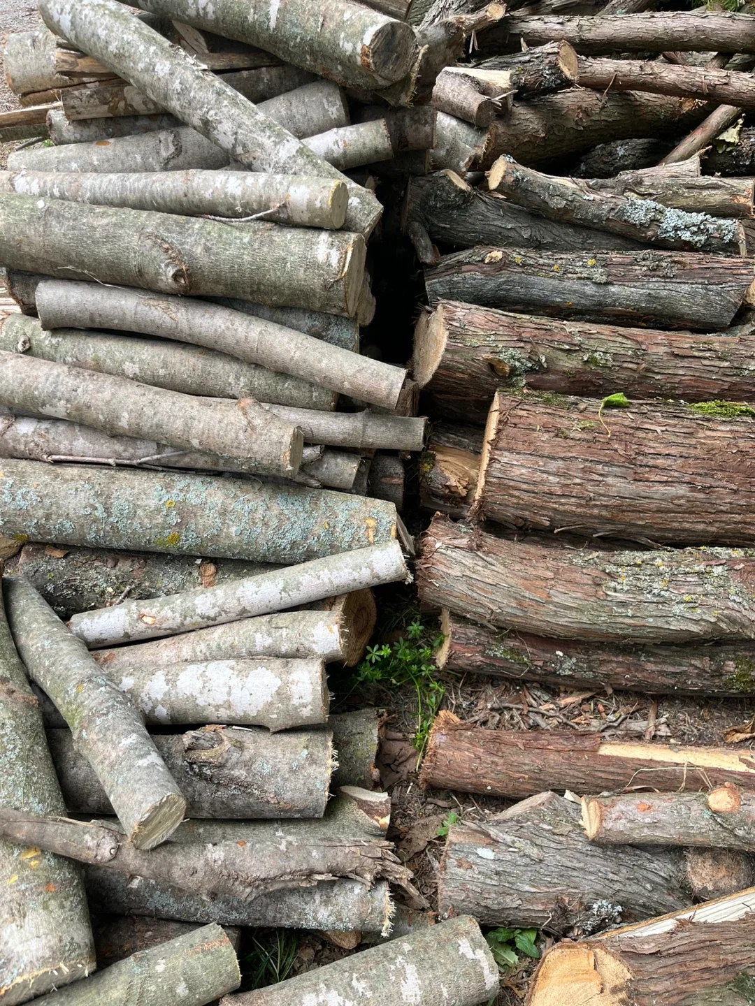 Firewood for sale image indicator(2)