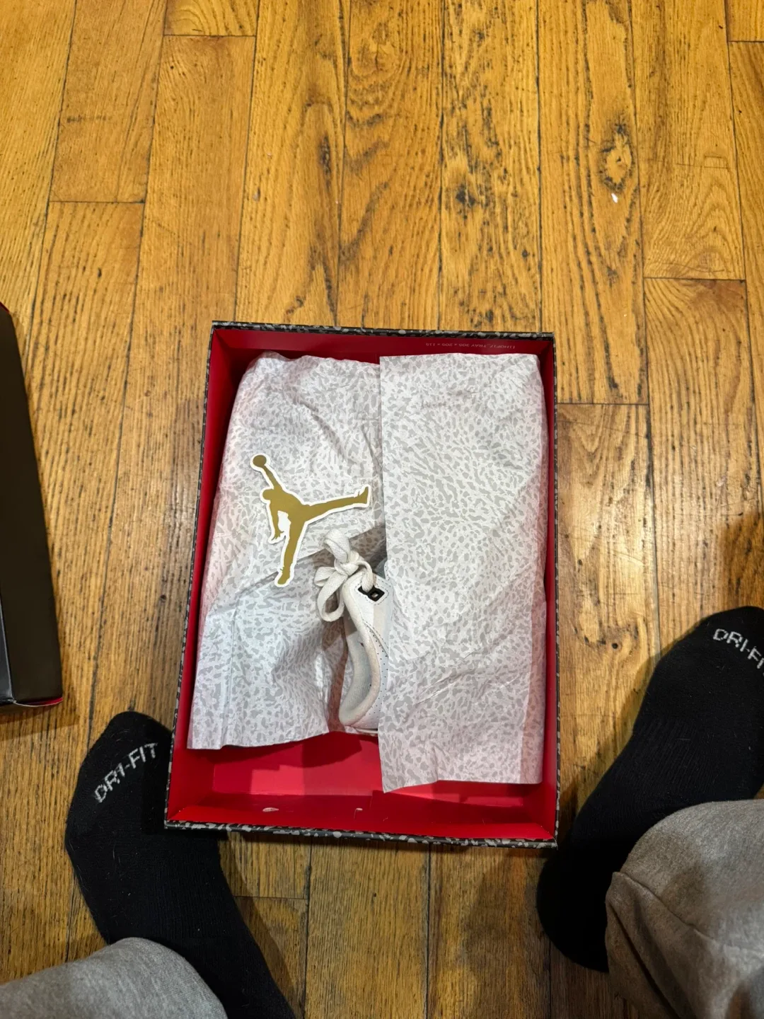 Air Jordan 3 Retro GS Summit White/Fire Red Size 6.5Y image indicator(2)