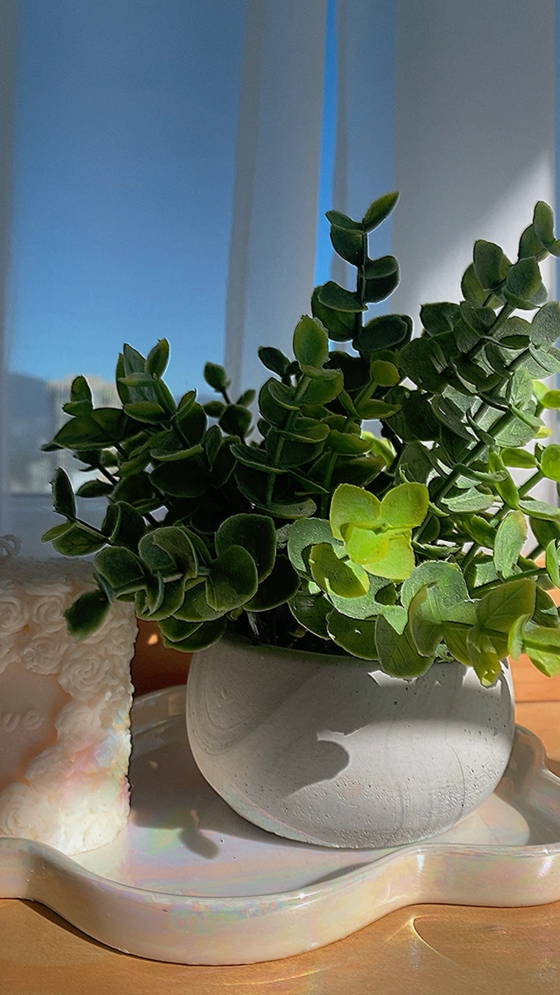 Decorative Plant and Candles - photo 4
