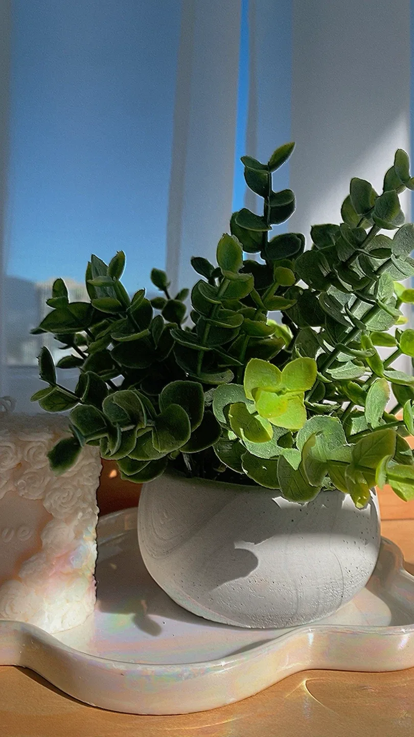 Decorative Plant and Candles image indicator(4)