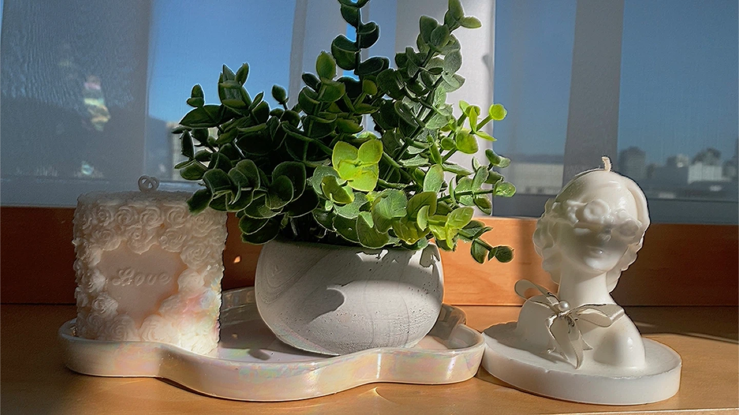 Decorative Plant and Candles