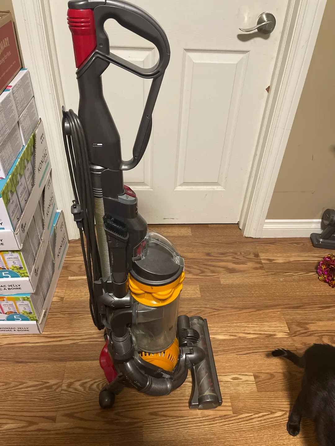 Dyson DC29 Vacuum Cleaner image indicator(3)