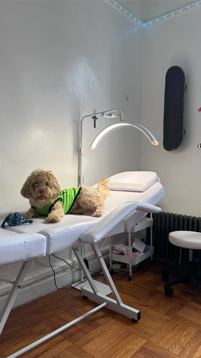 Spa stretcher thumbnail