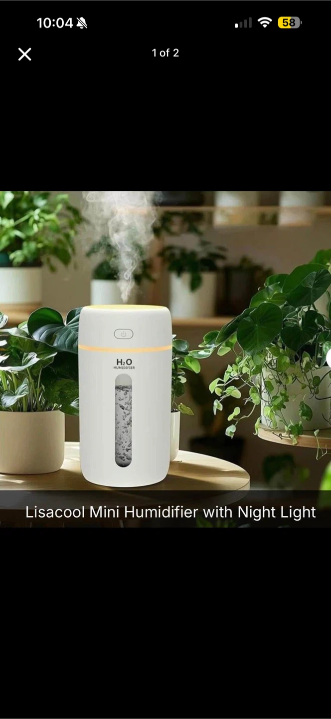 Lisacool Mini Humidifier with Night Light