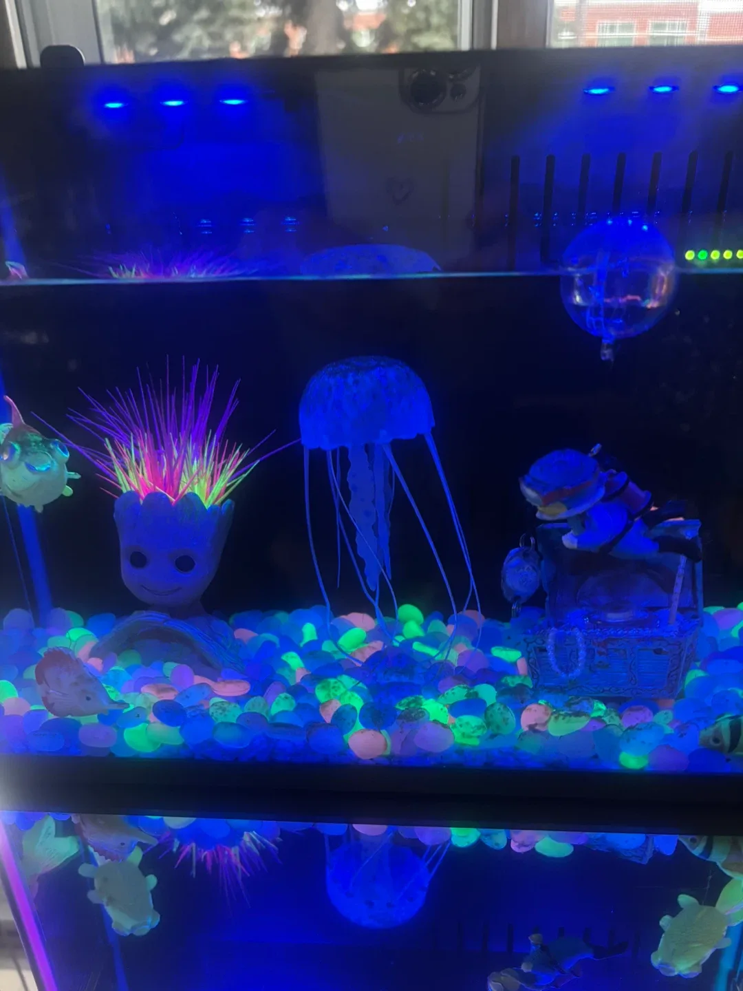 Top Fin Aquarium image indicator(6)