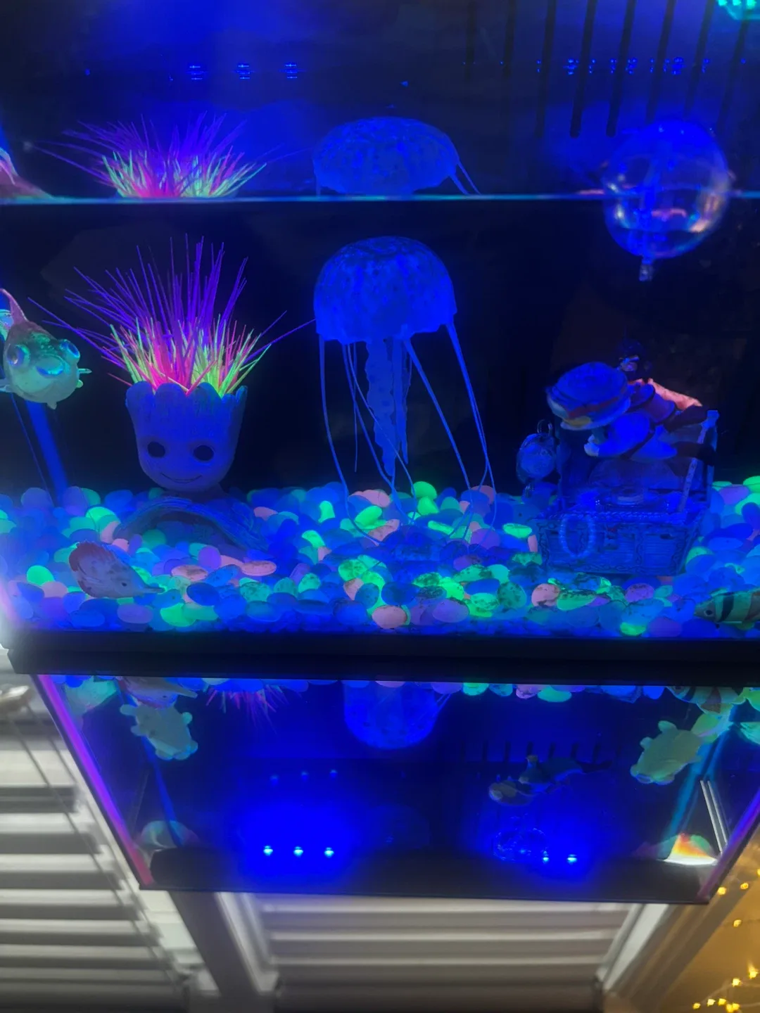 Top Fin Aquarium image indicator(3)