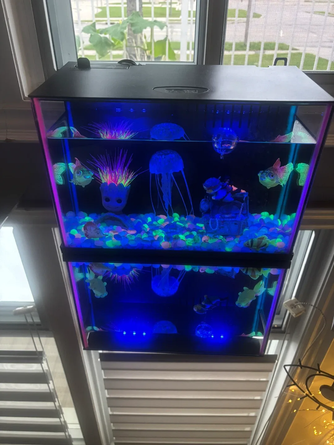 Top Fin Aquarium image indicator(8)