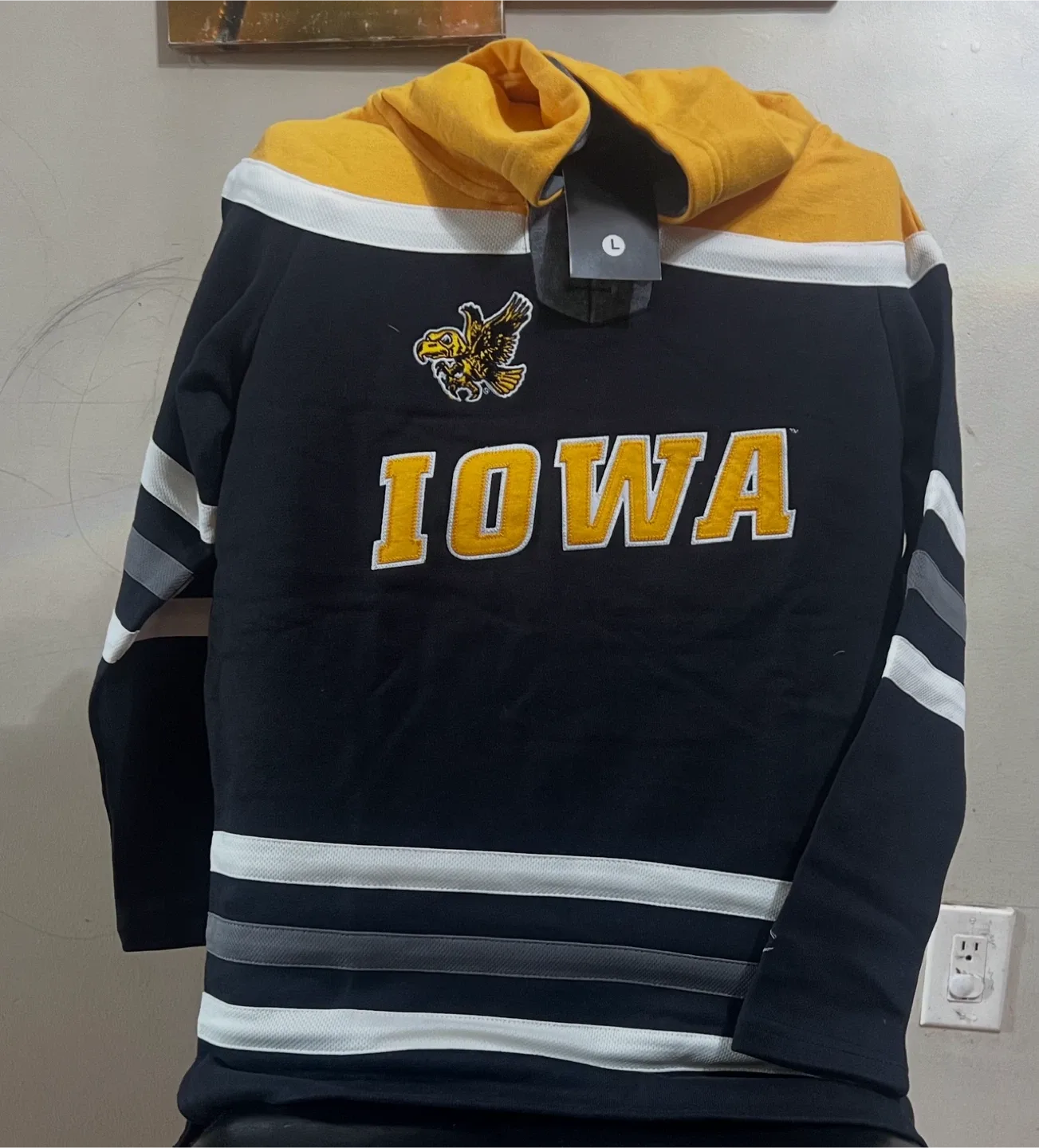 Champions NCAA hockey hoodies image indicator(5)