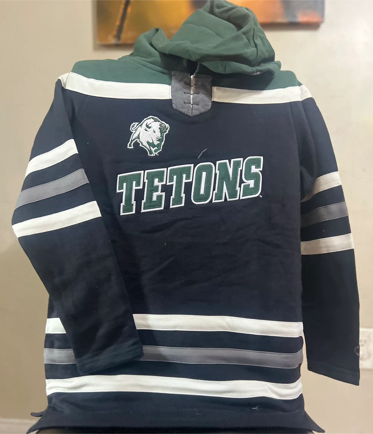 Champions NCAA hockey hoodies image indicator(6)