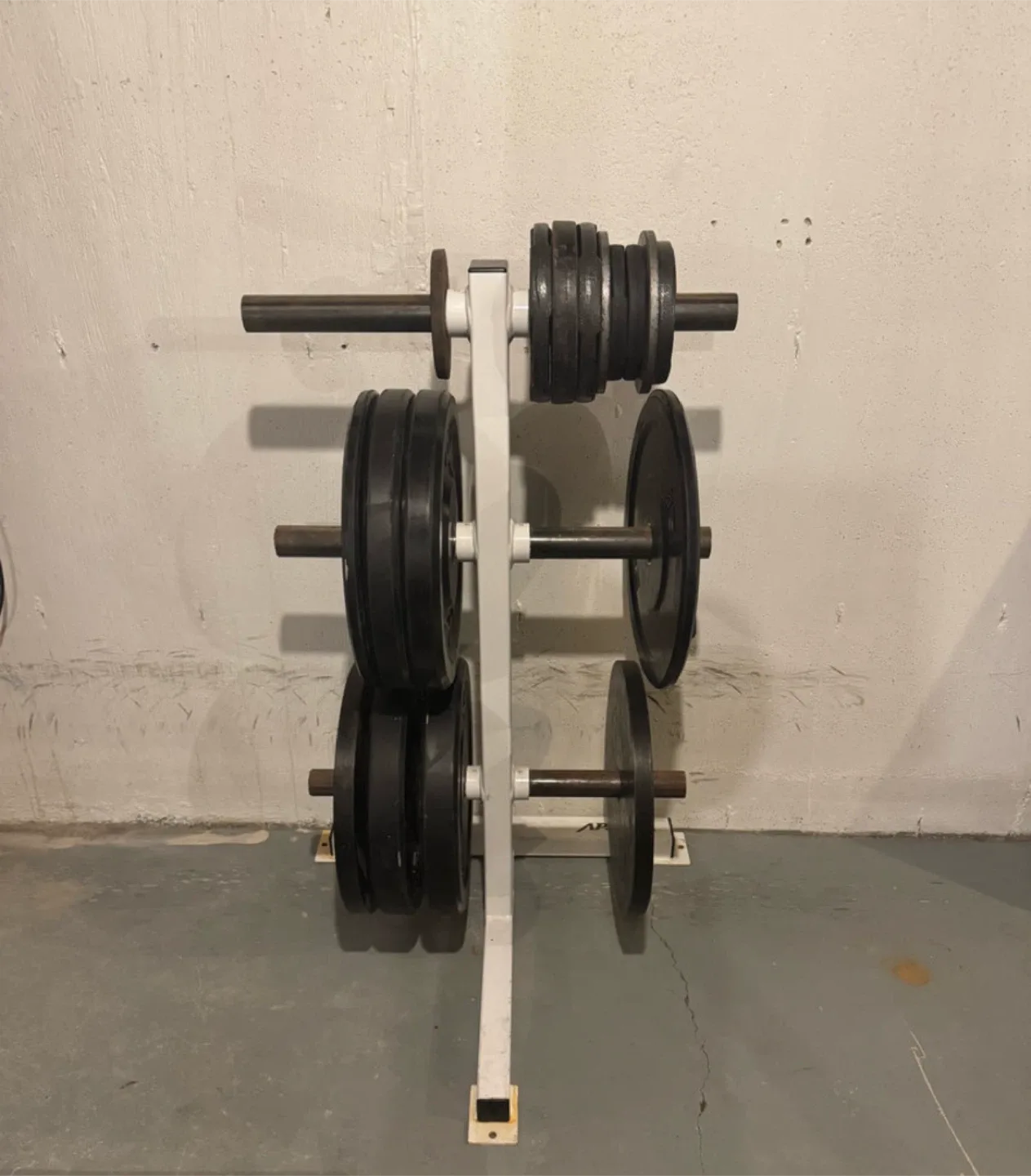 Olympic Weight Plates and Rack thumbnail