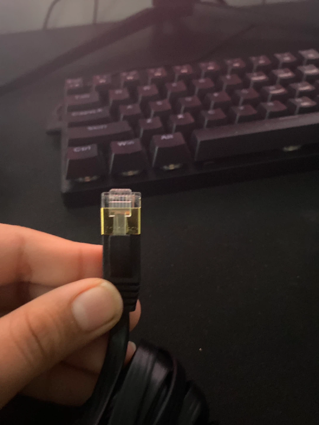 Ethernet Cable
