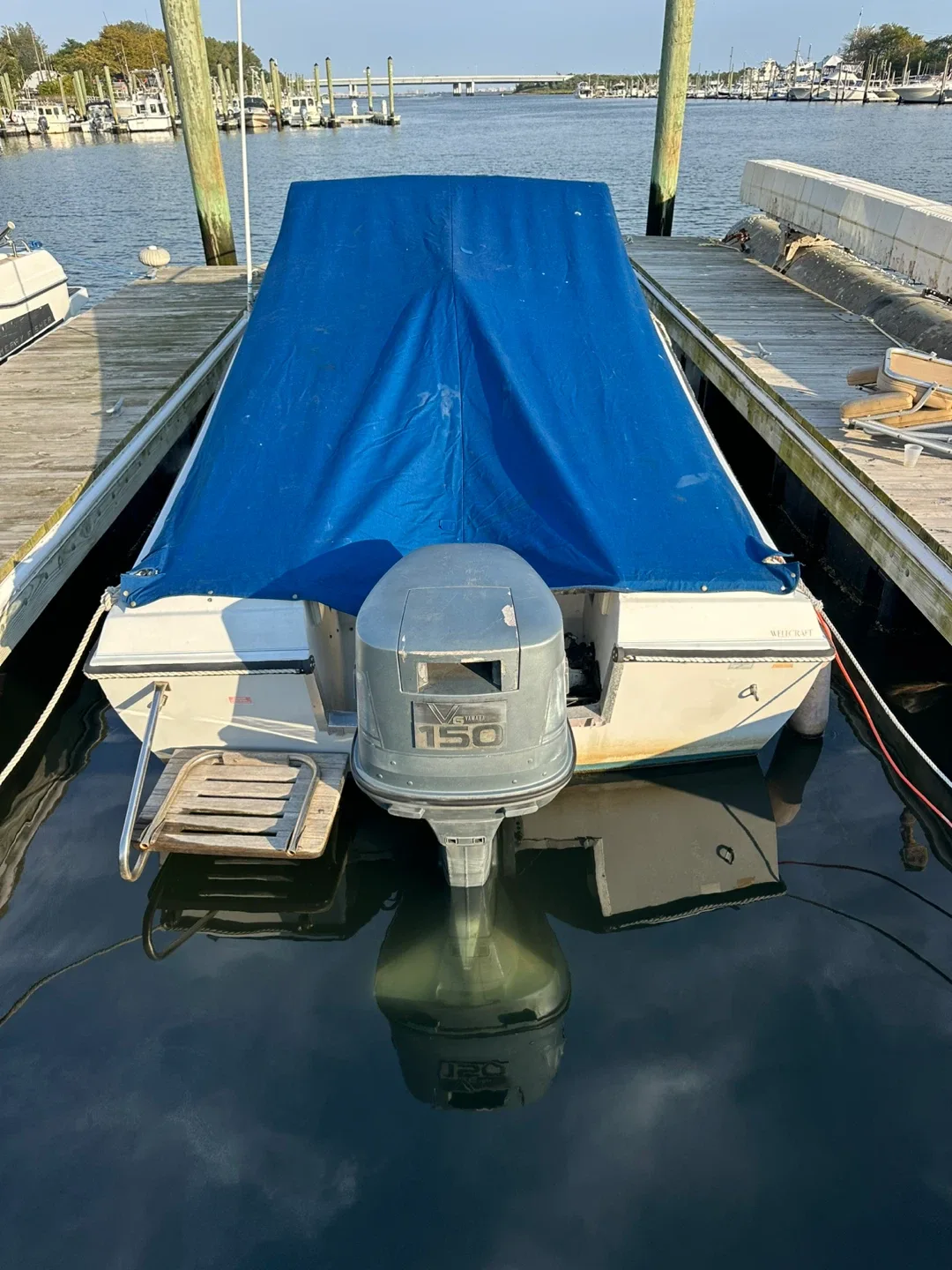 Wellcraft  step V 20  150 Outboard Motor image indicator(5)