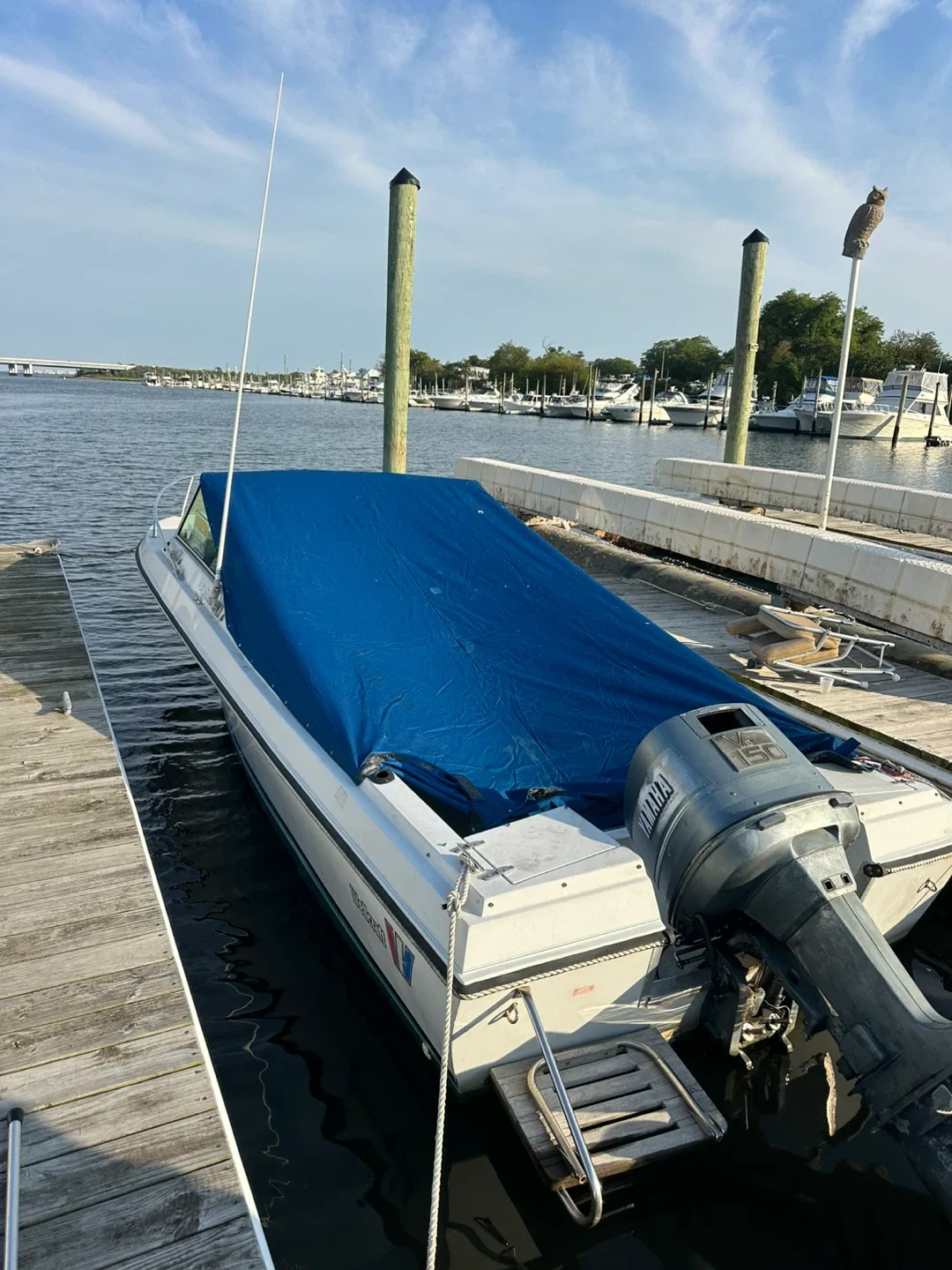 Wellcraft  step V 20  150 Outboard Motor image indicator(7)