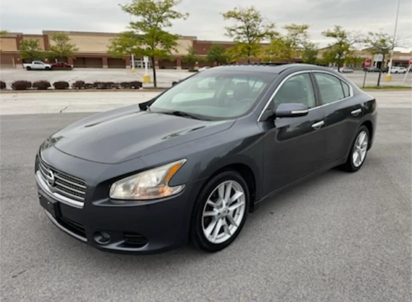 2010 Nissan Maxima image indicator(4)