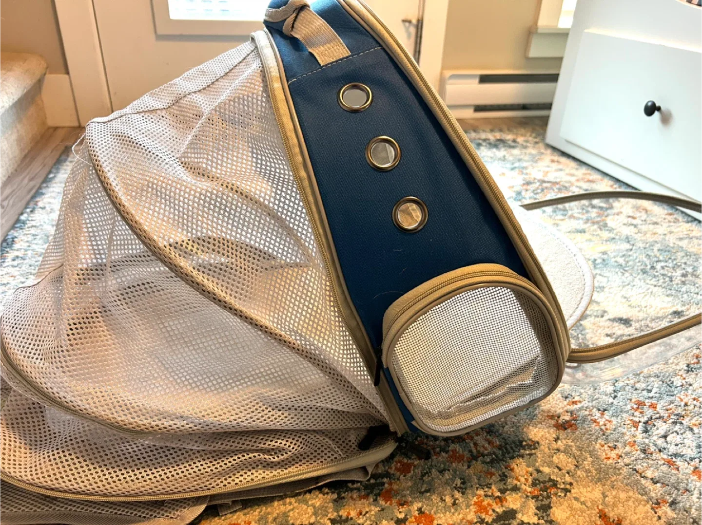 Pet Carrier Backpack for Cats/Small Dogs image indicator(3)