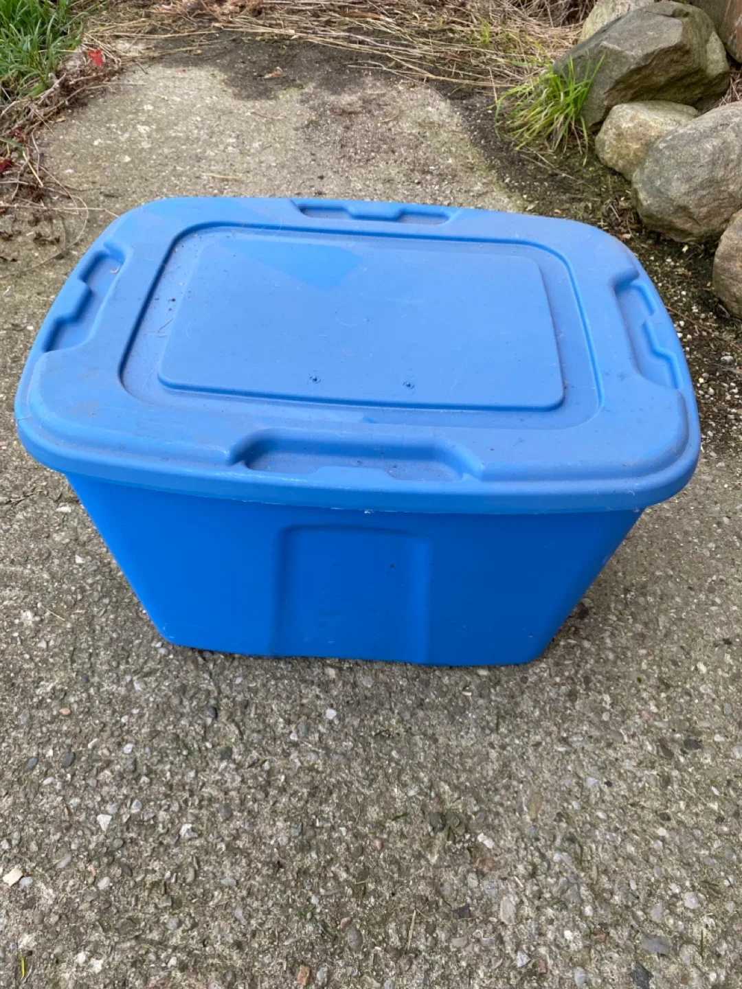 Painting Supplies - Rollers, Brushes, Scrapers & More image indicator(5)