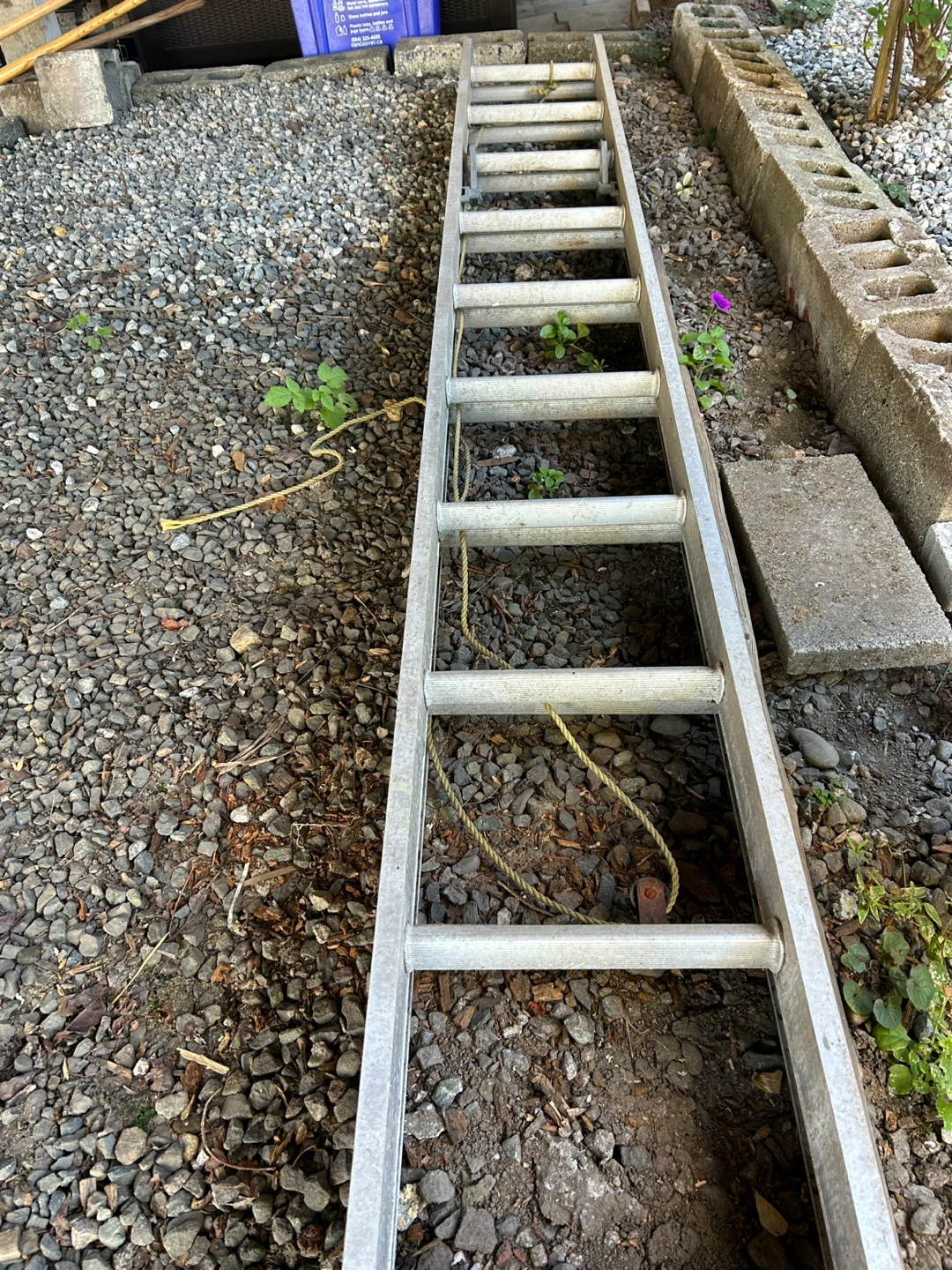 Aluminum Ladder