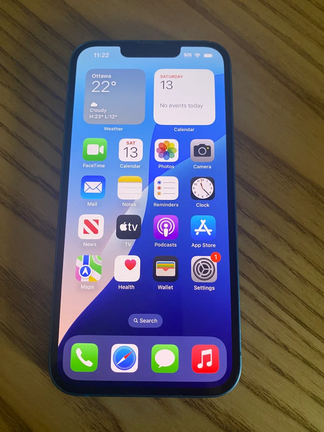 iPhone 13 - Blue - Battery Health 73% image indicator(2)