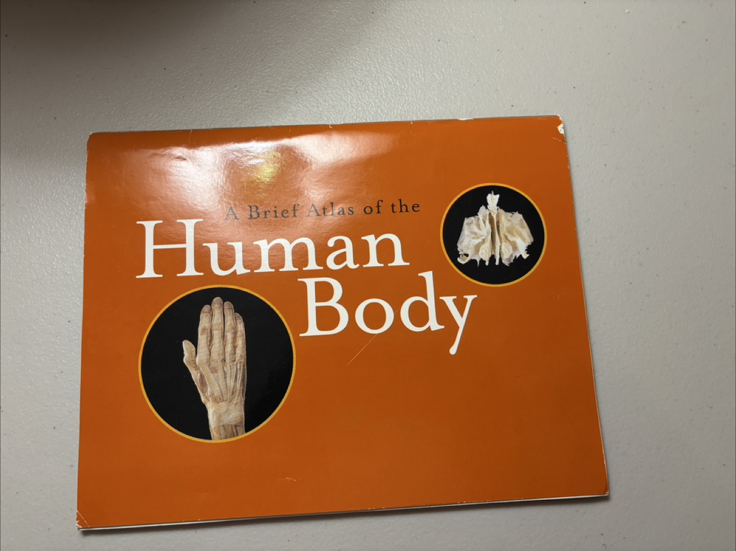 Brief Atlas of the Human Body