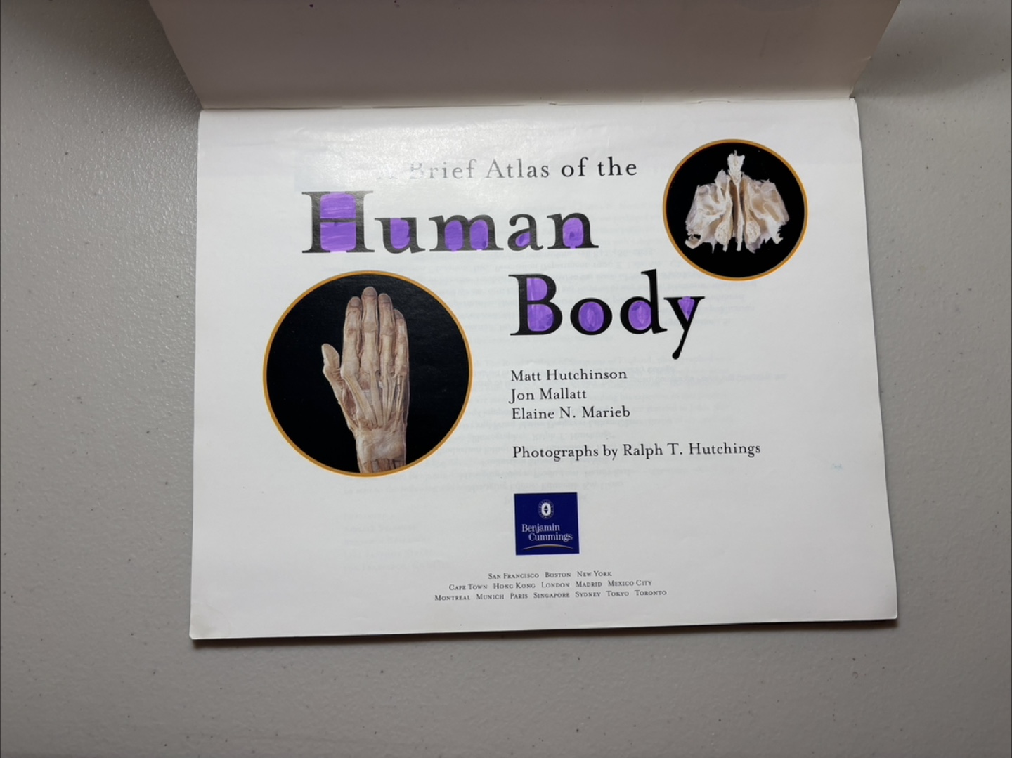 Brief Atlas of the Human Body - photo 2